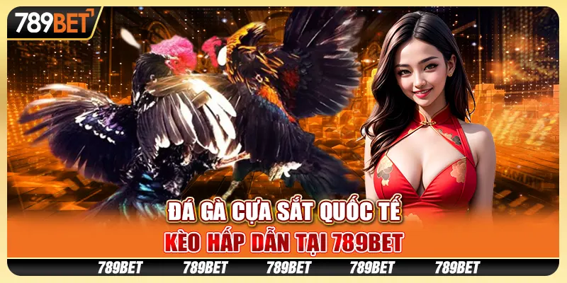 Đá Gà Cựa Sắt Quốc Tế, Kèo Hấp Dẫn Tại 789BET