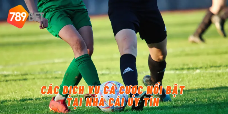 Các dịch vụ cá cược nổi bật tại nhà cái uy tín 