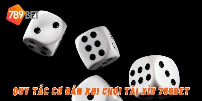 Quy tắc cơ bản khi chơi tài xỉu 789BET