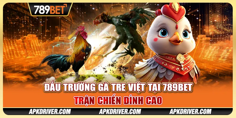 Đấu trường gà tre Việt tại 789BET - Trận chiến đỉnh cao