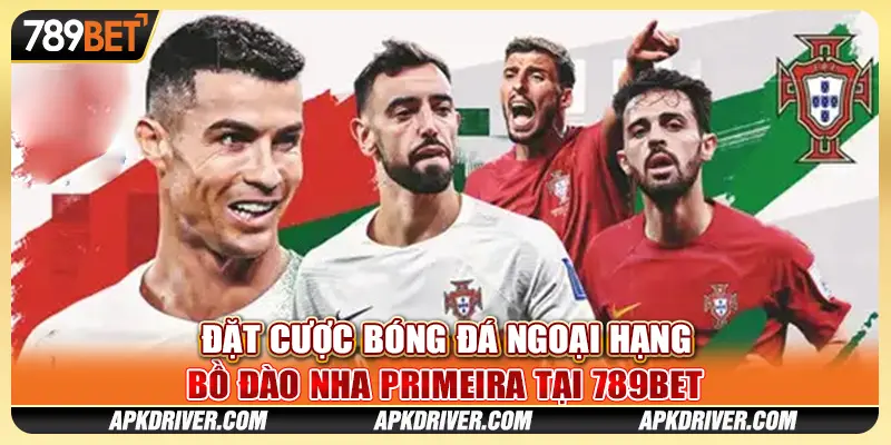 Đặt cược bóng đá Ngoại hạng Bồ Đào Nha Primeira tại 789BET