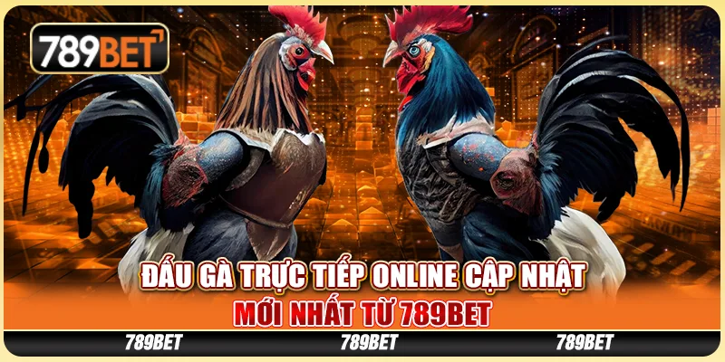 Đấu Gà Trực Tiếp Online Cập Nhật Mới Nhất Từ 789BET